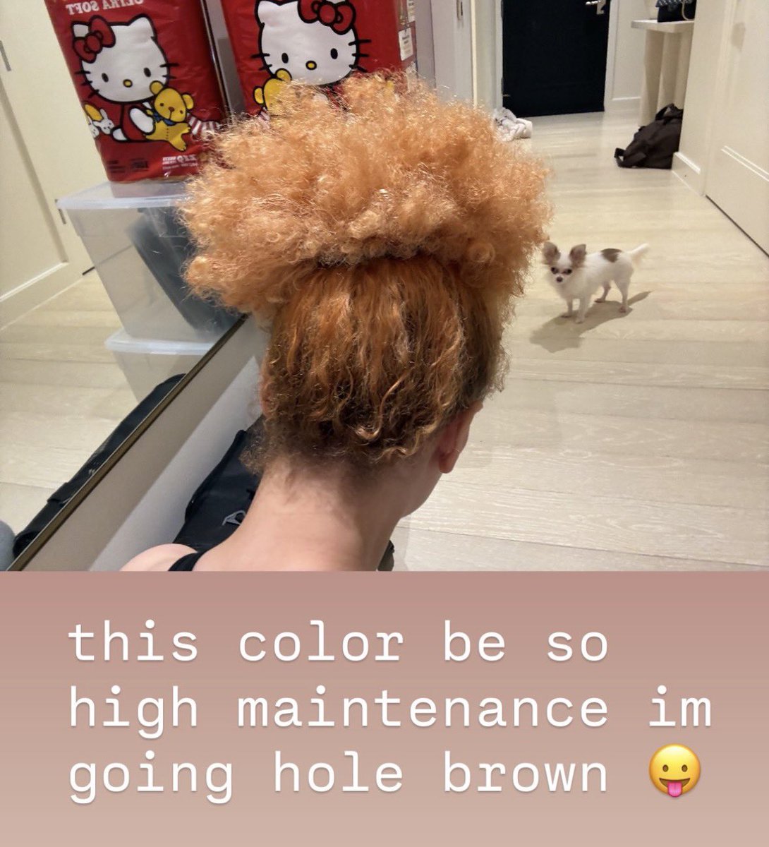 lcecrave's tweet photo. Ice Spice reveals that her signature ginger hair color is hard to maintain and will now be dyeing it ‘hole brown.’ https://t.co/vOqA9NndxY
