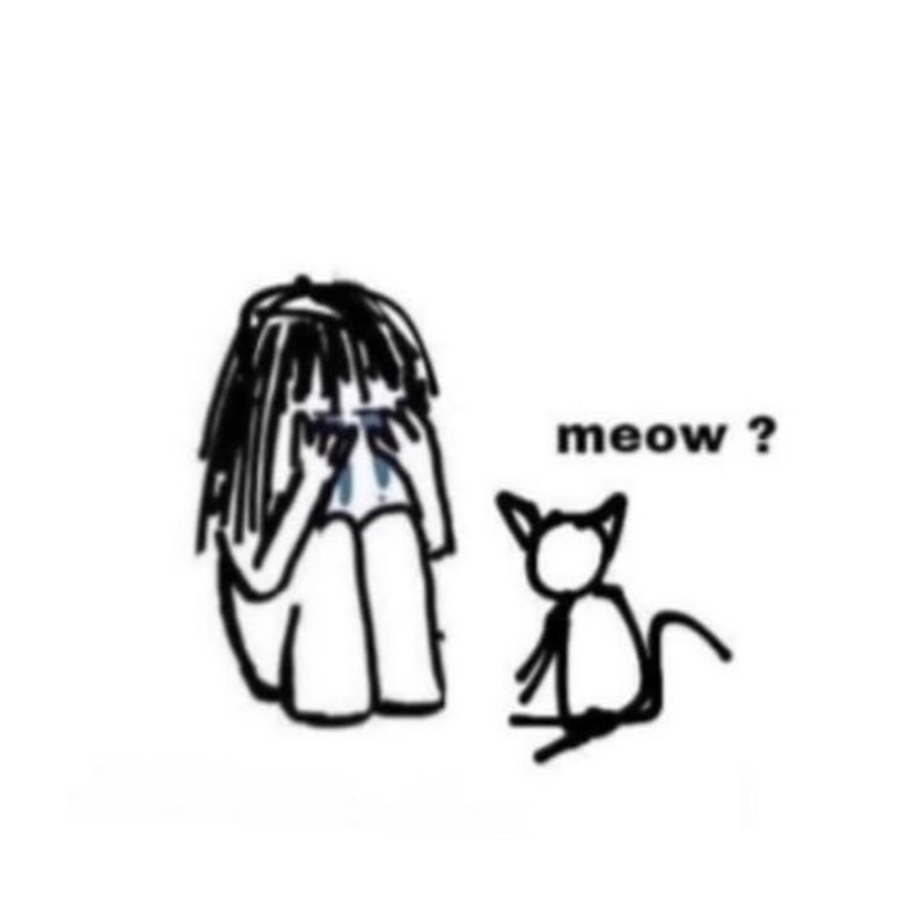 PunchingCat's tweet photo. https://t.co/pCN1VOBCrp