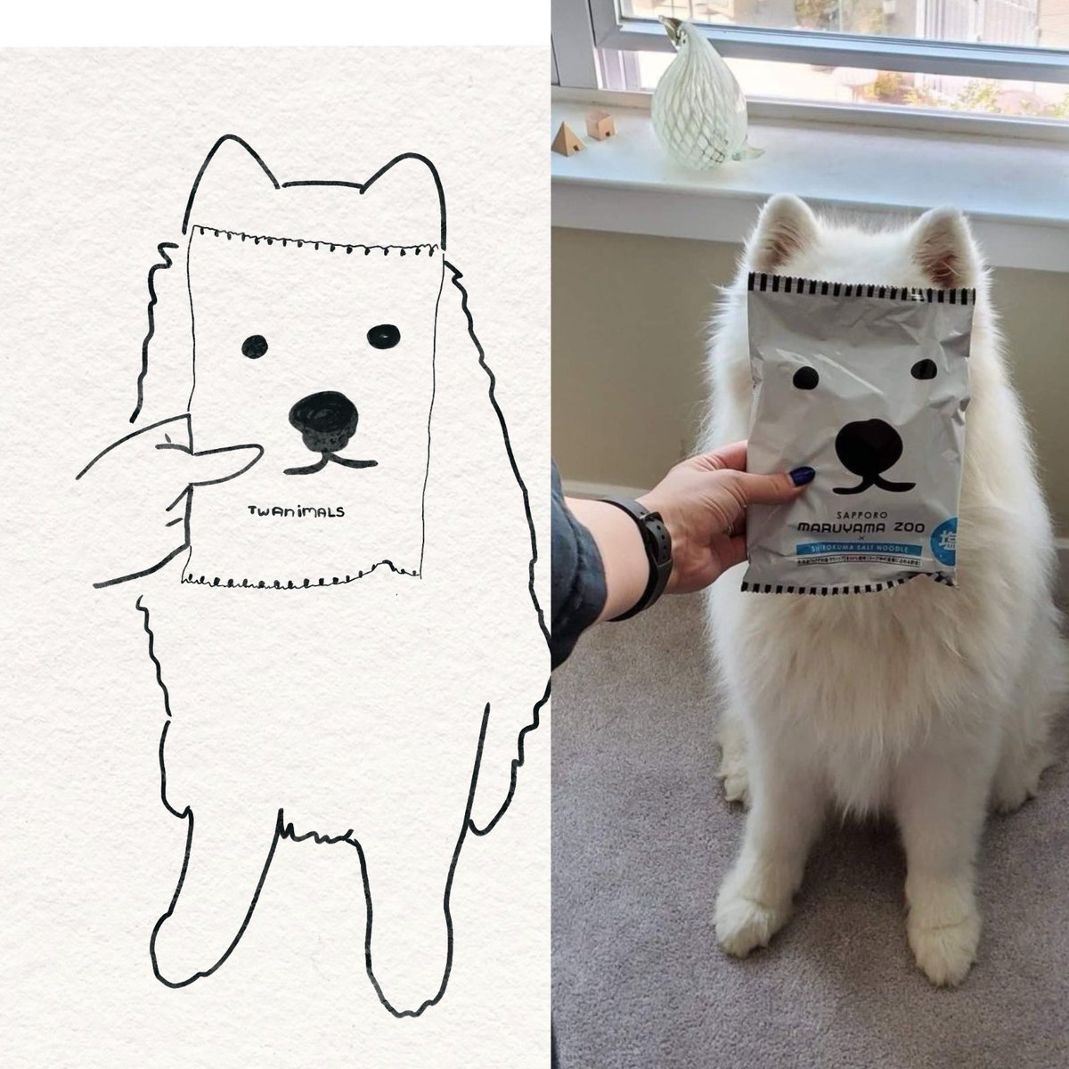twaniimals tweet picture