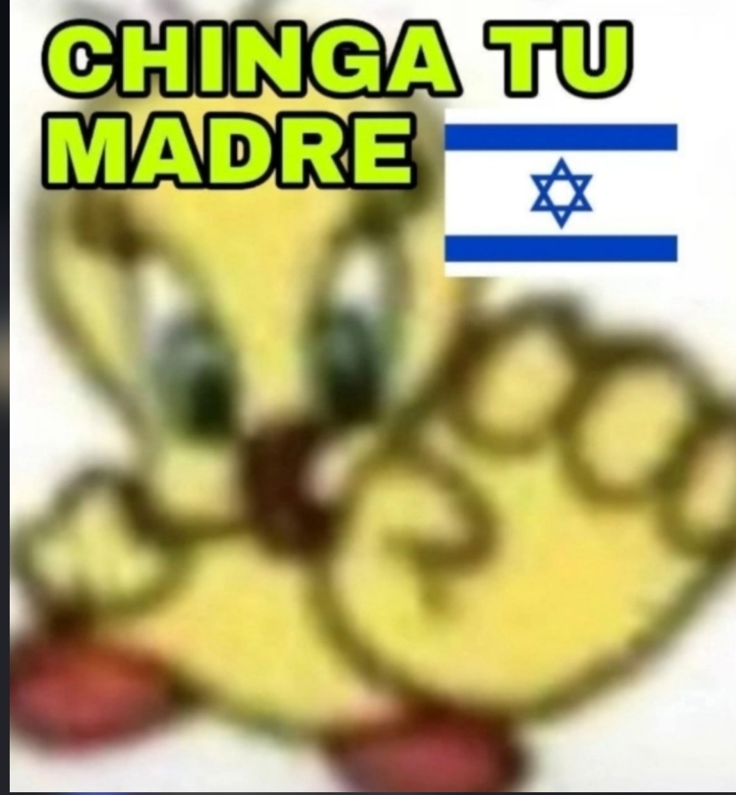 JesusMolin65's tweet photo. @theindieJoy @MotivacionesF Eres toda una perra para ellos, goyim https://t.co/MLOWvDBV1q