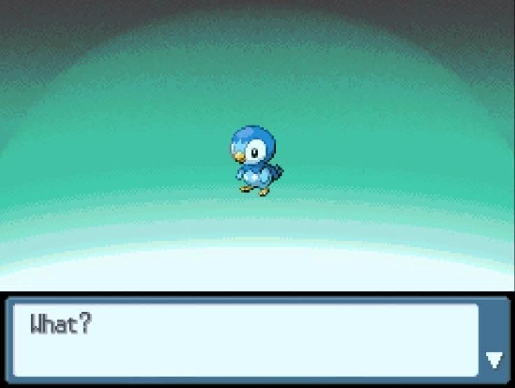 pokemon_daily's tweet photo. what https://t.co/8mdiuVxzFe