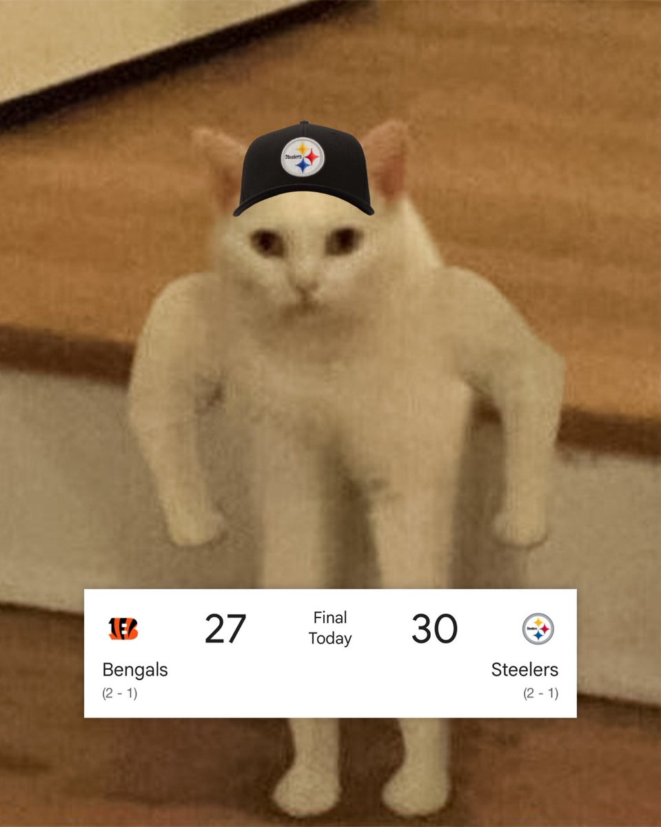 steelers's tweet photo. raWr XD https://t.co/R1PggawppL