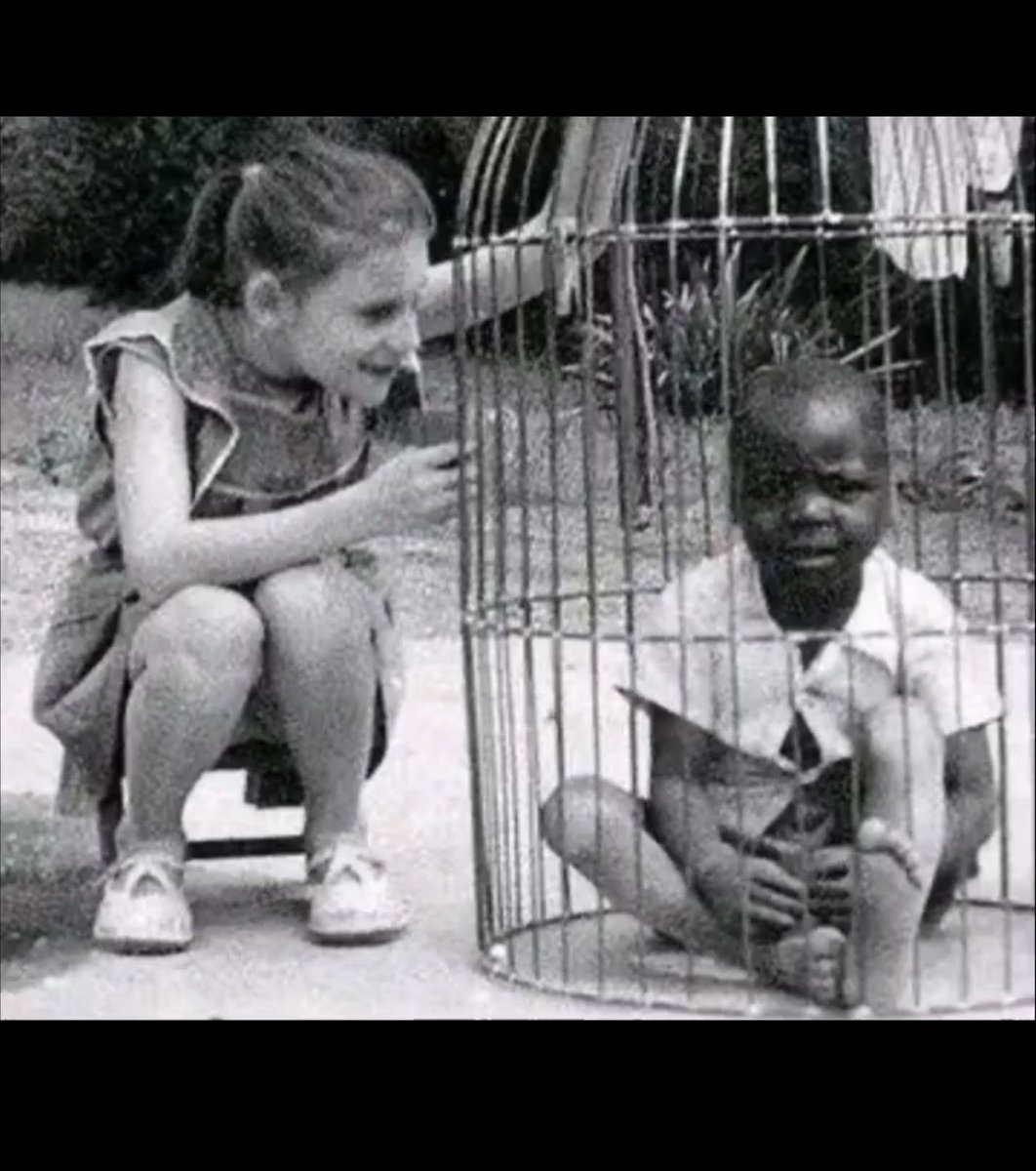 WhiteAmerican72's tweet photo. @skankhunt2100 @sethx86 @RealDianeYap African thinking he has an actual voice in my nation lmaooooooo https://t.co/uPq8SuE74p