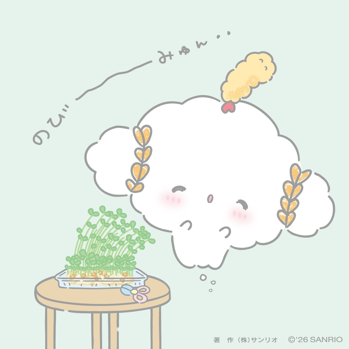 cogimyun_sanrio's tweet photo. いっぱ〜い　いっぱ〜い　のびて〜みゅ〜〜んっ･･！♡
#こぎみゅん #豆苗 https://t.co/WL1bjO70ii