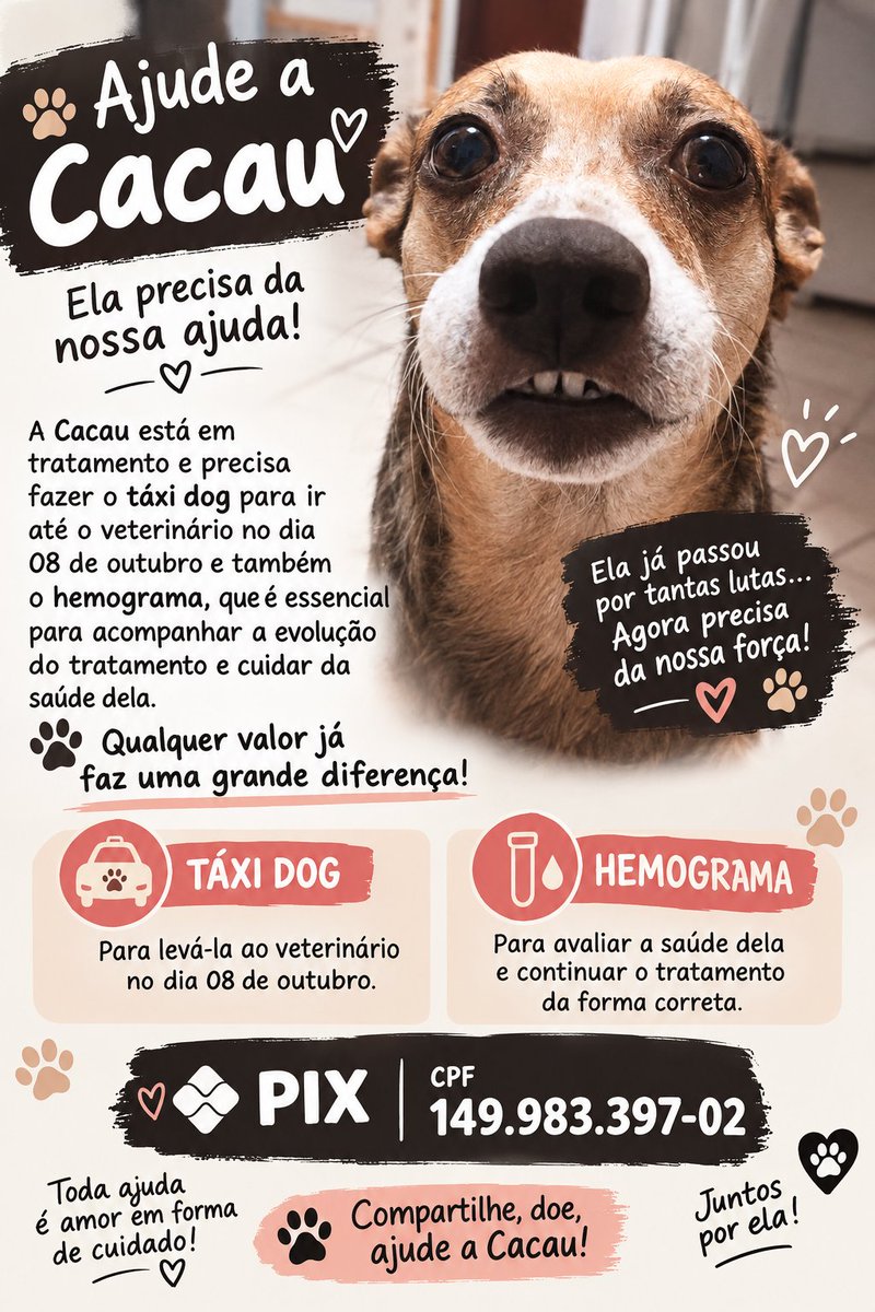 thaiannax's tweet photo. No dia 8 de outubro, ela precisa retornar ao veterinário para fazer um novo hemograma e uma ultrassonografia, para acompanhar de perto como está evoluindo e dar continuidade ao tratamento. Por conta dos nódulos, ela também precisará ser acompanhada pelo veterinário a cada 3 meses para monitoramento. Precisamos arrecadar para o táxi dog e os exames. Qualquer valor ajuda muito!

Pix (CPF): 149.983.397-02

Se não puder doar, compartilhe. ❤️🐾