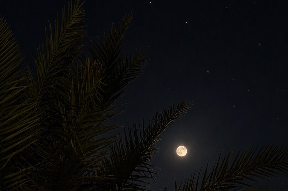 5lisli's tweet photo. «يا الوجه الأحلى بين سمّار القصايد والحروف 
يا جعل والله فدوتك كل القصيد اللي أنقصد

بالليلة اللي كانت الظلماء على وجهك تطوف
أنتِ القمر وأنتِ الثمر واللي زرع واللي حصد» https://t.co/e9sJuTMpNe