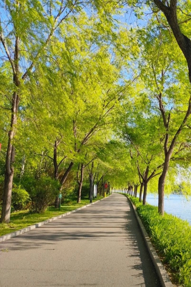 LesleeFair5s's tweet photo. Mira! Hace sol y temperaturas perfectas hoy, ideal para salir a caminar con amigos. https://t.co/fCo8BLepYI