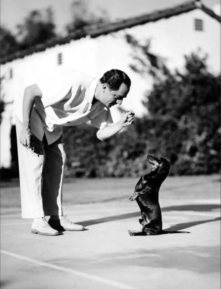 Lompac2026's tweet photo. William Powell &amp; his pet dachshund named Schnapps, are photographed here at home by famous celebrity photographer, Clarence Sinclair Bull 

#WilliamPowell #Pets #ClarenceSinclairBull #Dachshund #Schnapps #Hollywood #OldHollywood https://t.co/c3JSY9nuN3