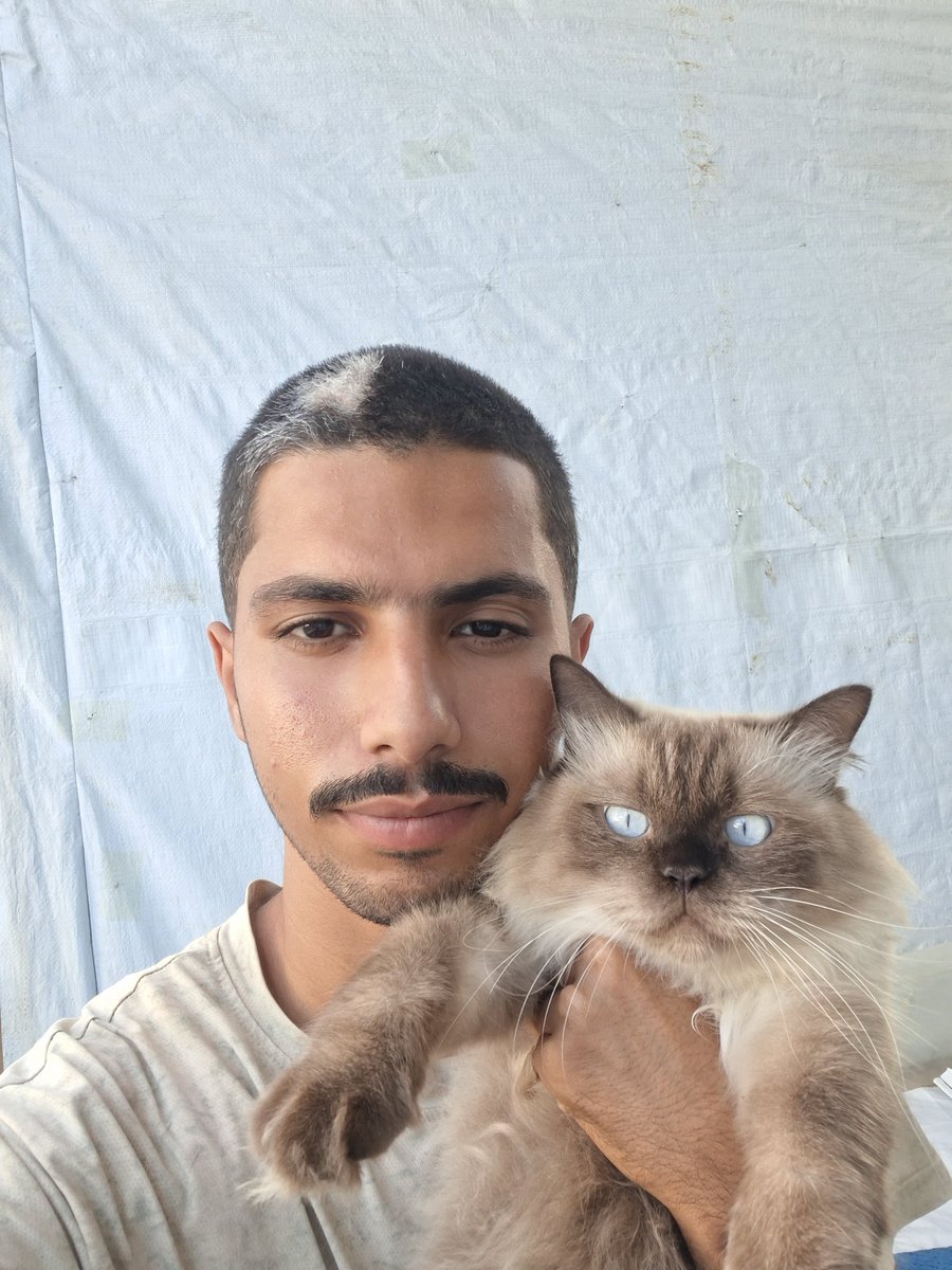 MustafaAmeen30's tweet photo. Misho lives here with me in Gaza,
but I have no idea how far his story has traveled around the world. 🌍

Let’s find out tonight…

What country are you following Misho from? https://t.co/m5qeEADygo