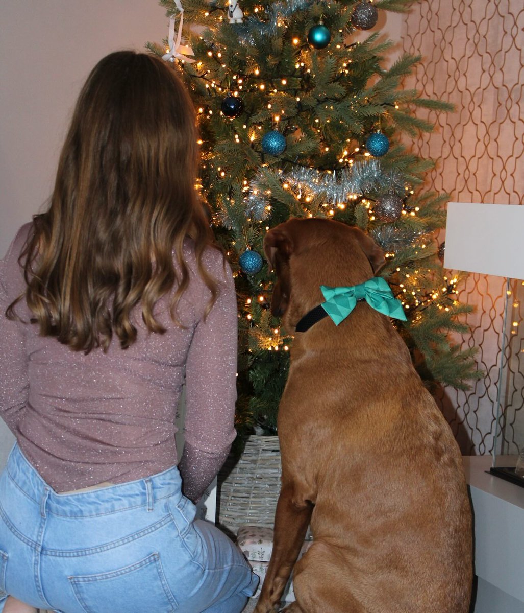 LanieReihing's tweet photo. Merry Christmas, everyone! We hope you have a wonderful day. https://t.co/VAmCn3JYTV