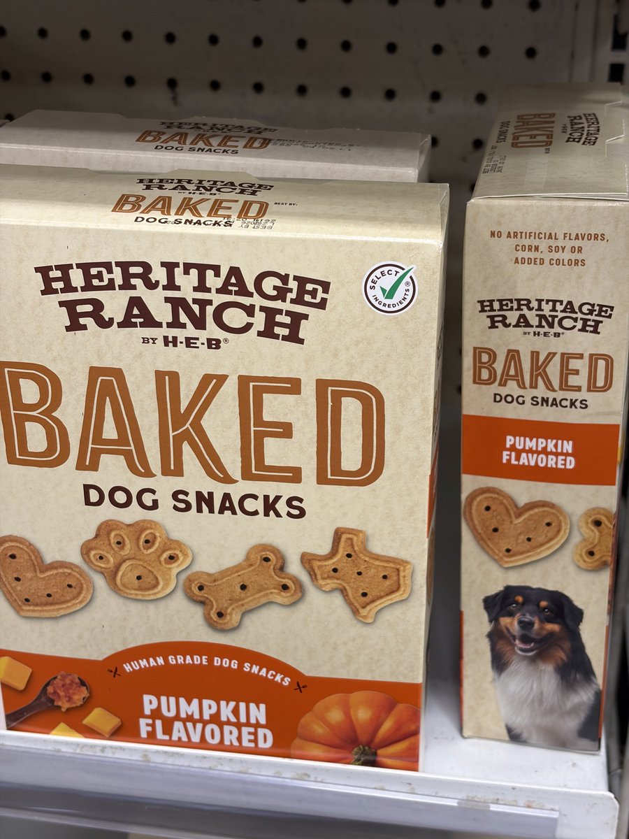 ConyDIYHouston's tweet photo. 先週H-E-Bで
「Fall Harvestの香り」のゴミ袋を見つけたんだけど……
あれで終わりじゃなかった😂
🐶 犬のおやつ → Pumpkin flavor
🥔 ポテチ → Cornbread Stuffing
🧼 食器用洗剤 → Pumpkin Spice
🧙 さらに Witch’s Brew まで
まだ普通に半袖で過ごしてるTexasなのに、
H-E-Bの中は完全に秋🍂
犬のおやつまでPumpkin味になるとは思わなかった。(犬も味で秋を感じるのかな?)
ちなみにCornbread Stuffing味のポテチは、
気になりすぎて買いました。
……これは別で食べてみます👀
Last week I found “Fall Harvest” scented trash bags at H-E-B.
Apparently that was just the beginning 😂
🐶 Pumpkin-flavored dog treats
🥔 Cornbread Stuffing potato chips
🧼 Pumpkin Spice dish soap
🧙 And even Witch’s Brew soap
Texas is still very much T-shirt weather,
but inside H-E-B, fall has fully arrived 🍂
I also bought the Cornbread Stuffing chips.
Taste test coming next 👀
#HEB #Texas
