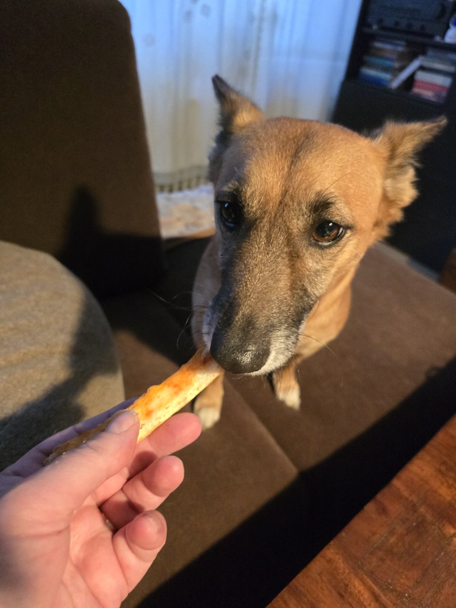 Figo_NRW's tweet photo. Pizzarand statt #Wochenendei
Zumingstens etwas!
@MilchSchnitte2 @mav_cologne @vonundzu_Stine @GlitzerflauschV @Jule20131 @katziki @SiriwhoSiriwho1 @Rirosa2016 https://t.co/jQAkmsydWC