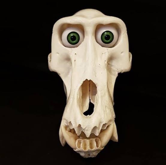 Padami_'s tweet photo. Hello, Everyone.,,.,. Do You Like Mr Bones ❓ (↓ Mr Bones ↓) #MrBones https://t.co/gJ124UfxXX