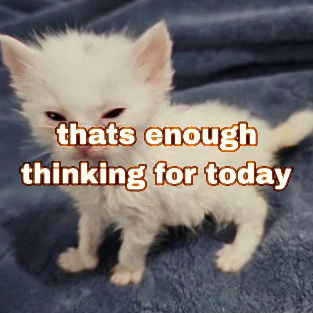 PunchingCat's tweet photo. https://t.co/ckLKwTVo2n