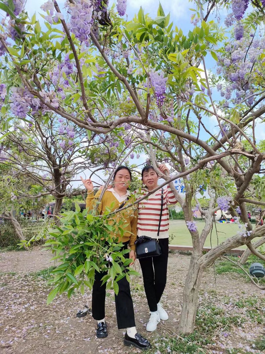 VivienneBadpy9's tweet photo. [Join our Photography Club's morning shoot this Sat! Capture spring blooms at City Park, share your works u0026 swap tips. New members always welcome! #StudentClubs]， https://t.co/zUtYppcV8x