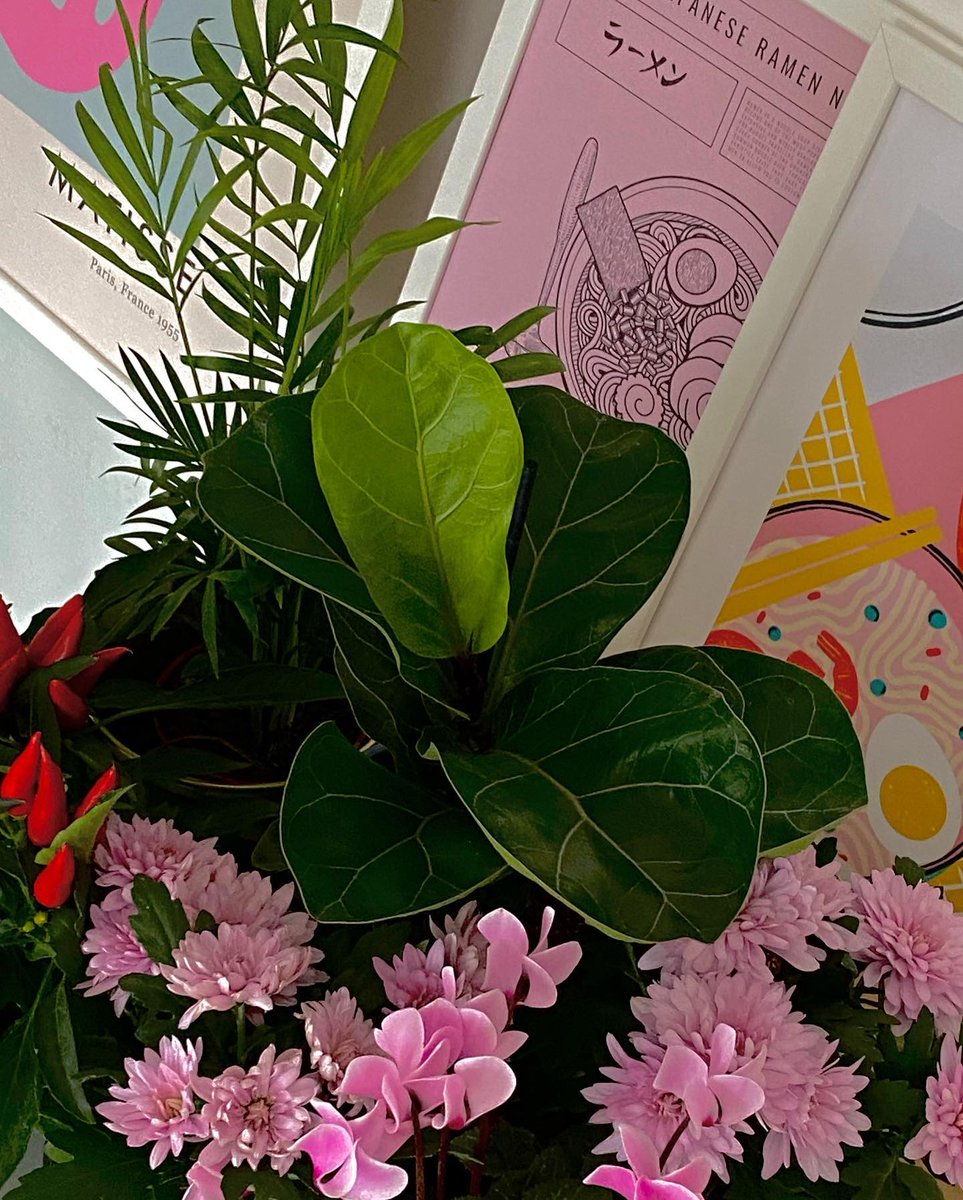 will_Gommes's tweet photo. 愚痴を聞いてくれて、一緒に笑ってくれる相棒に心から感謝。みんなはどう感じる？ 💬🙌
Mmbw https://t.co/RTxiK2Fvd7