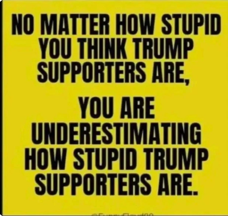 BWAnonymous1's tweet photo. @BrooklynFlowe15 @Republicans To paraphrase a popular YT podcast host, "they're using monster under the bed" tactic to gin up votes. 
The whitey conservative voter runs not on Dunkin'© but on paranoia. 
Being constantly paranoid, and in a cult totally checks. 
Crazy white brainwashed freaks. #EndtheGOP https://t.co/WYS9BQ5bvK