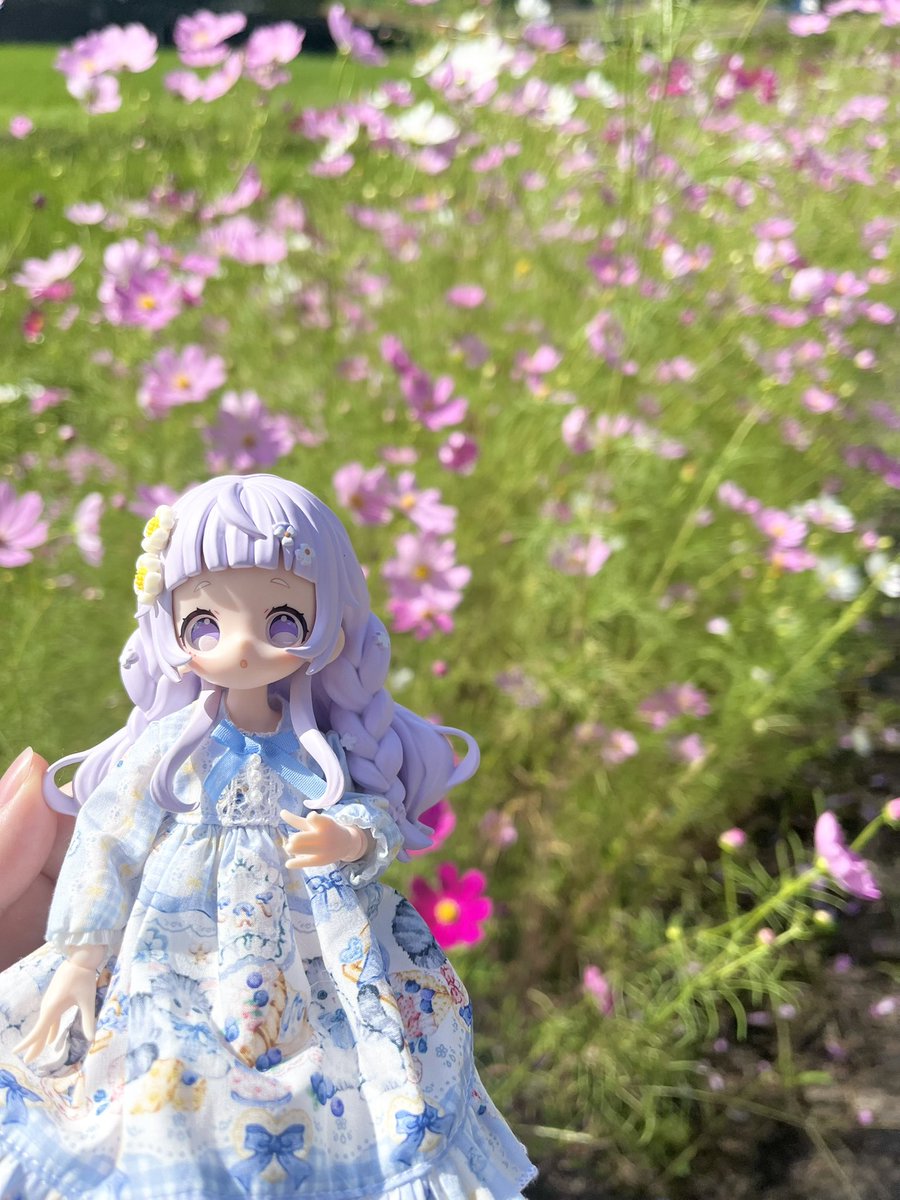 kage_ru's tweet photo. おはようございます

朝が寒くて徐々に秋の深まりを感じます🍁

#おはドル https://t.co/Jf7XKezZja