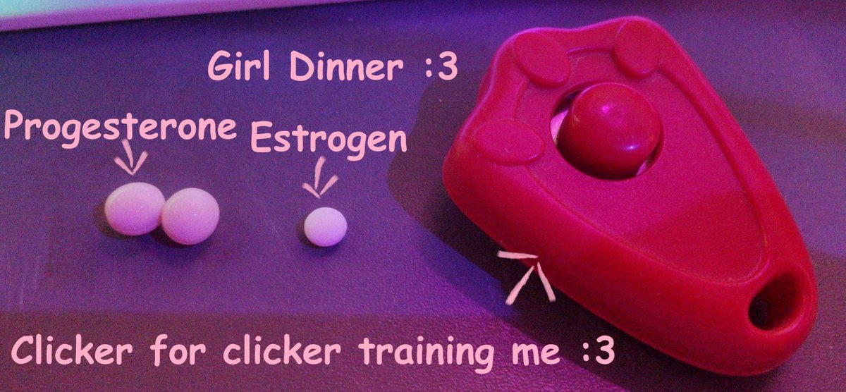 puppygirlsteph's tweet photo. Girl Dinner :3 https://t.co/qxZ5pHaEtA