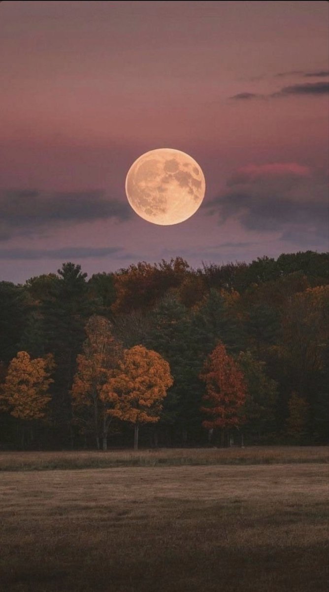 gypsyOTR's tweet photo. “The sun shall not strike you by day, nor the moon by night. The LORD shall preserve you from all evil; He shall preserve your soul.”
~Psalm 121:6-7🕊 https://t.co/KOLL4wk6K0