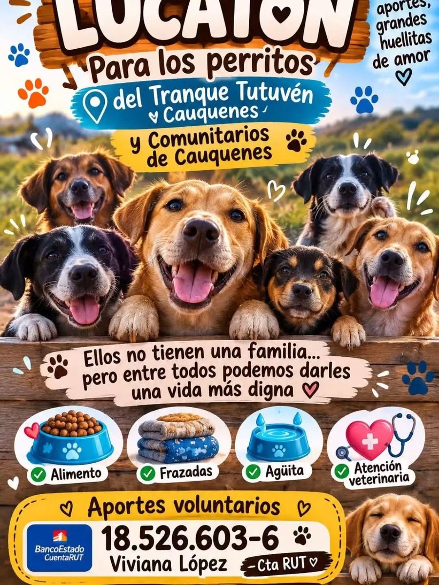 todopormiperro's tweet photo. https://t.co/SrMiaEyrSv