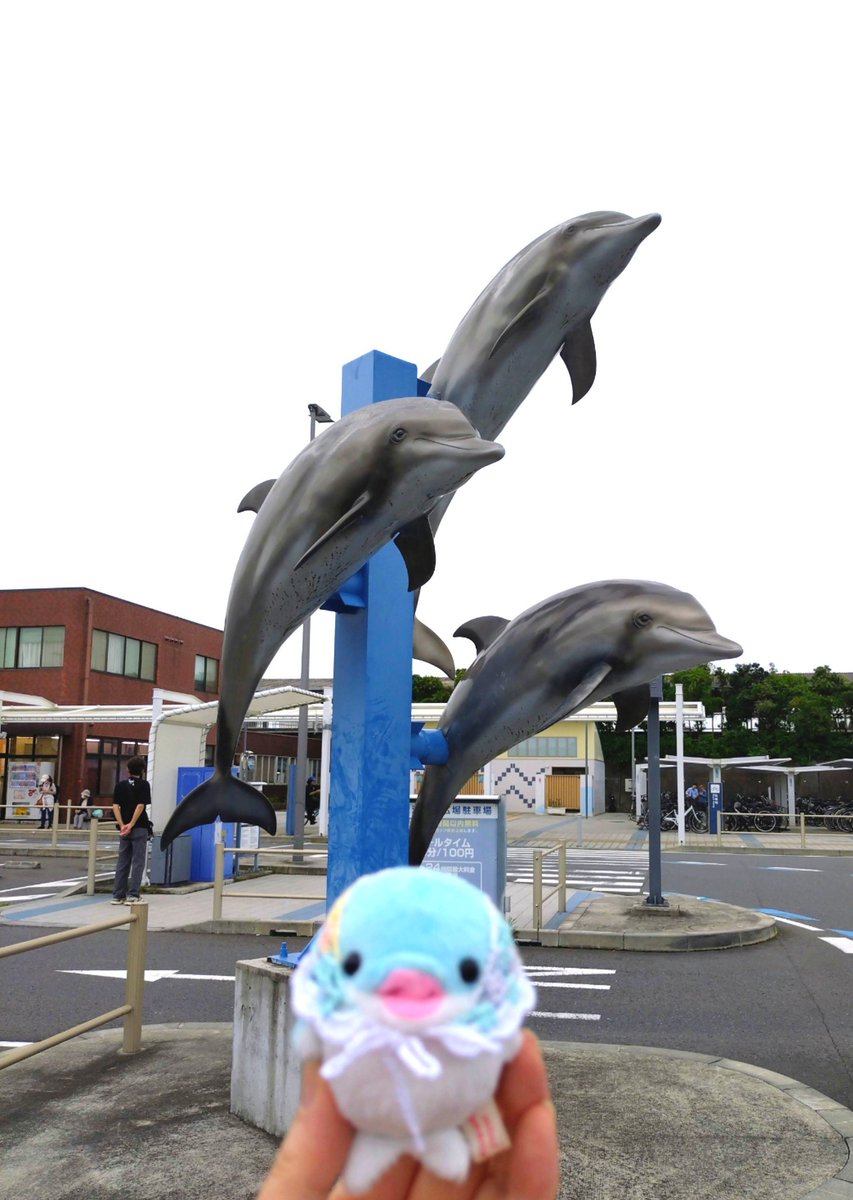 shuwafuwa_p0wa's tweet photo. おはようございます
たらこです🐬🩵

こないだ行った大洗の駅前
まだ写真載せてなかった💦

イルカやカジキマグロの
立派な像があったよ✨

近隣の人には見慣れた風景なんだろうけど
たらこにとっては「わぉ❣️」って感じだったの😀

3枚目はたらこを探せ🧐

月曜日はマイペースで行こ〜😌

#ぬい撮り https://t.co/WRhsVPPdqi