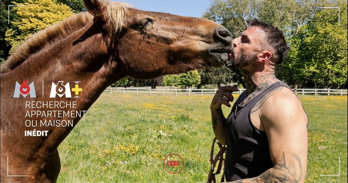 LesBgDuPaf's tweet photo. #RechercheAppartementOuMaison #RAOM #ZoneInterdite #EnqueteExclusive #M6 J'peux servir de cheval 🐴 😜🔥 #LesBgDuPaf #BgAlerte 📺🚨 https://t.co/neIbFdsx0x