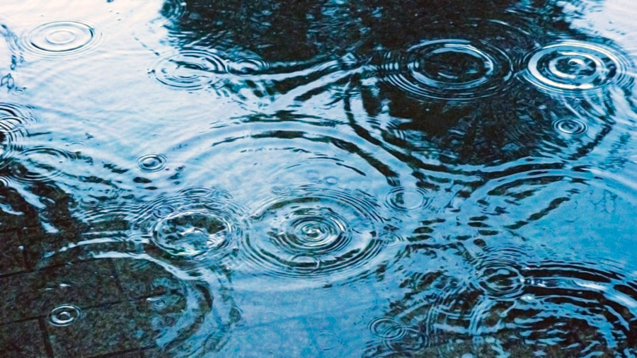 artist_roger's tweet photo. 雨垂れや 規則正しく タクト振り
Raindrops—
keeping perfect time
in nature’s concert.
#haiku #俳句 #poet #poetry https://t.co/hrPQZ3NzLI