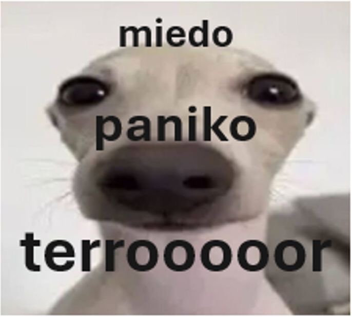 Gabyvillalbm's tweet photo. Me desperté toda asustada pensando que llegaba tarde al server hoy y después me acordé que es día de descanso😭 https://t.co/KqhMTqbut8