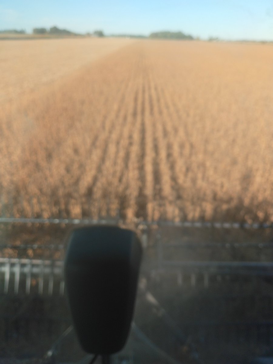 maplevue's tweet photo. End in site for beans, challenged son Devin to catch me planting wheat this weekend,he is approaching 450 AC since Friday,only 20 behind proud Dad moment https://t.co/5pFgfSxuBq