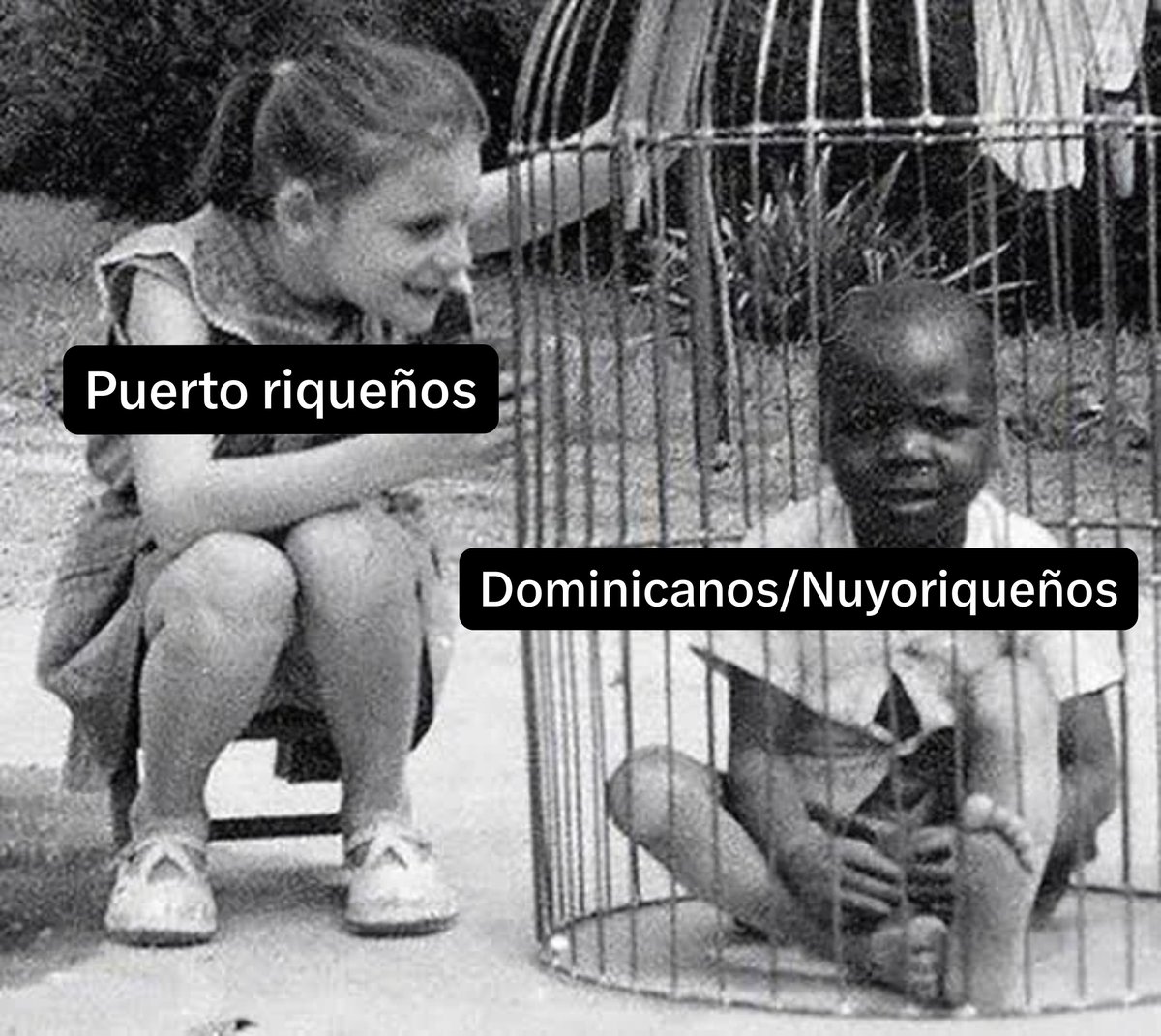 ReformationPR's tweet photo. Los puerto riqueños son supierores a los dominicanos, haitianos y los nuyoriqueños https://t.co/X8gaXjj0TP