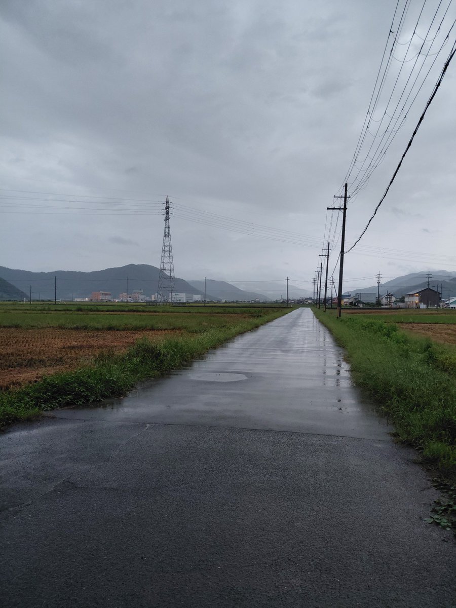 speckle_ot's tweet photo. 雨の中、朝散歩。 https://t.co/CAkCcz6Rdf