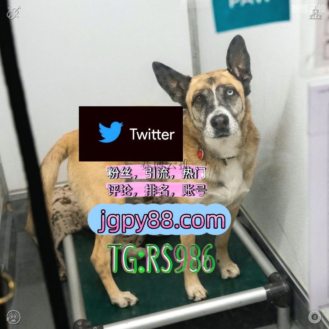 ria14n's tweet photo. 把生活的苦慢慢���成未来幸福的甜🧇
推特账号购买推特脚本 
推特软件 多账号管理、批量发帖、内容同步 攀枝花关键词霸屏🧳熱門🌈权重号🌟推特老号🍄定時發推💐
自动脚本钟祥 海外流量、品牌推广、社媒营销
注册号金坛 世界杯🥄 https://t.co/2J0ETw2EIw