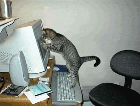 KDoppoke's tweet photo. С одной стороны так круто когда тебя никто не знает здесь, а с другой сидишь и ждёшь когда начнутся такие случайные переписки как в tiktok https://t.co/Cup7KnR7cO