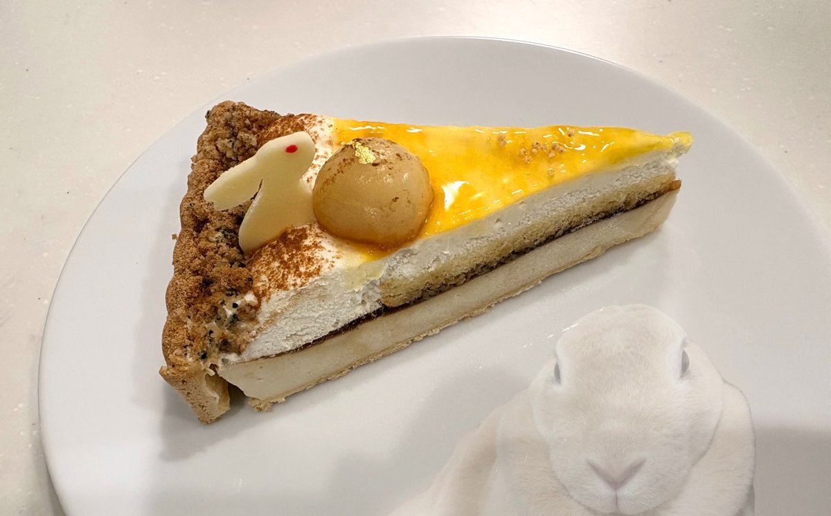 booboousag's tweet photo. うさぎのお月見タルト食べました🐰🌕 https://t.co/CckicB1Uh0
