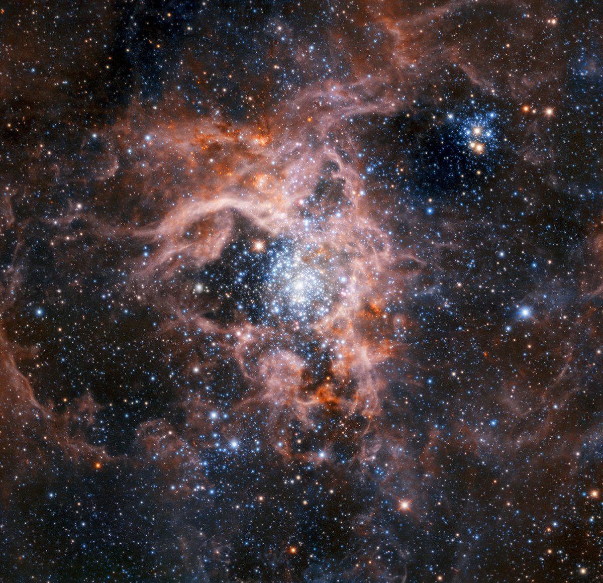 universal_sci's tweet photo. A very view of the dramatic stellar nursery 30 Doradus, known as the Tarantula Nebula.

(Credit: ESO) https://t.co/zqMw9tUUog