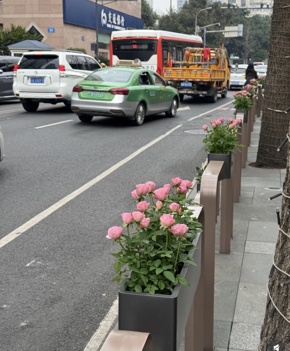 JacqueSemiwc's tweet photo. El sol brilla intensamente hoy, perfecto para caminar por el parque y tomar un helado de vainilla ， https://t.co/pX8ZBPJSVB