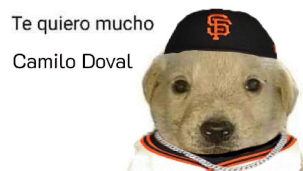 nocontextsfg's tweet photo. https://t.co/tsgOuI1jQK