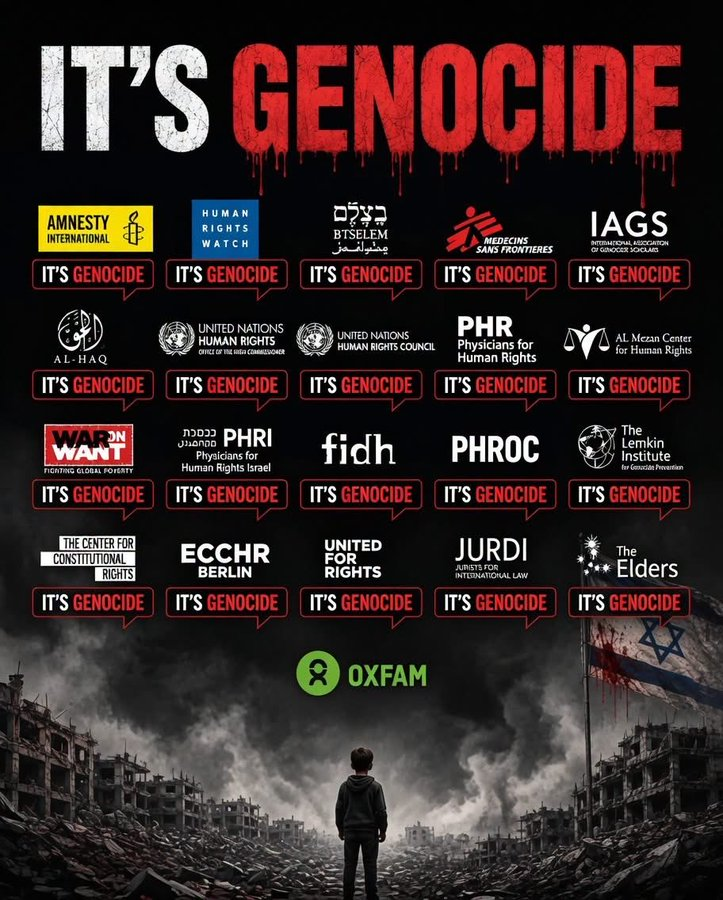 Dodgson_X's tweet photo. @Vanlife4Ever @Rehiana1980 @DailyMail Are you yet another inbred #FakeSemite freak who can't understand that being a genocide denier is just public humiliating yourself? Even reluctant "jewish" scholars agree that this debate is LONG over, #HasbaRat: https://t.co/XWJPlzNKSW