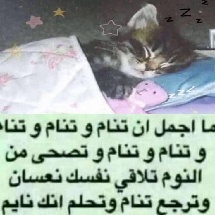 yourillusio's tweet photo. https://t.co/RHA1wmpJC5