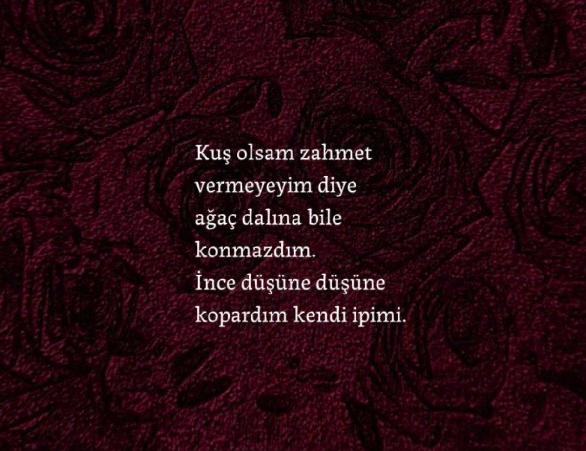bklnmynMsfr1's tweet photo. https://t.co/lt8mOxLzYA