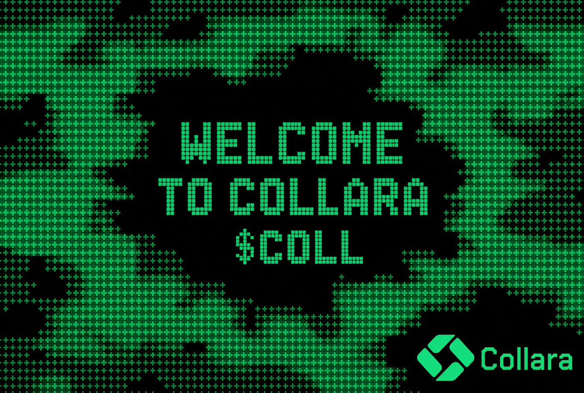 hayabysaQ's tweet photo. @collaraxyz $COLL
A private prime brokerage for tokenized stocks.

Borrow, lever, short, and hedge from one private account.
Your positions stay hidden.
Collar loans can run with no liquidation risk.

Deposit / bring assets you already own.
Borrow / draw stable liquidity against them.
Trade / keep exposure while you move.
Pay / spend without selling first.
Repay / close out whenever you want.

Your assets, finally working.

https://t.co/TLfnj0dU2E
@collaraxyz @ponsdotfamily