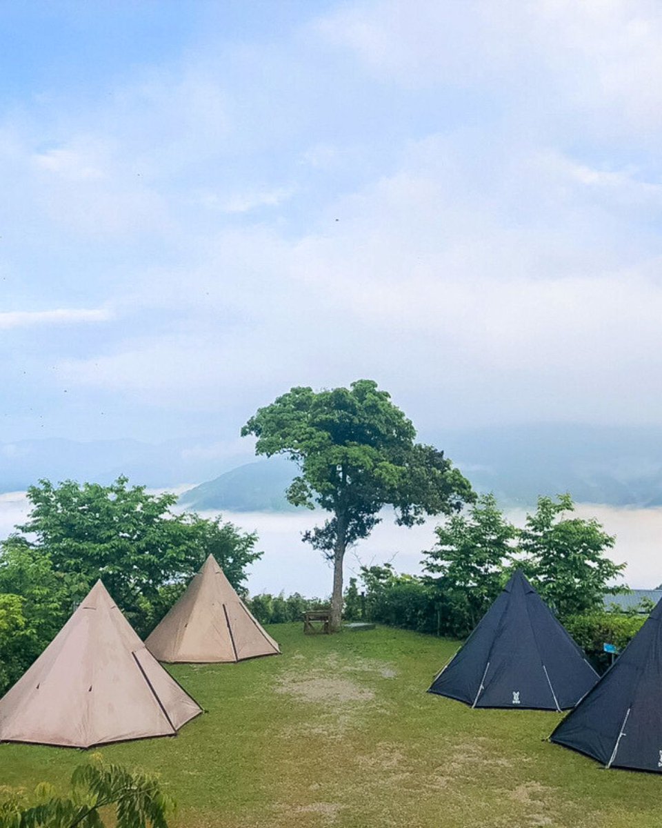 LaveraNevuis's tweet photo. Coffee, stars, and a sea of clouds—the most romantic elements are all here. https://t.co/JSIaJ0qY6r
