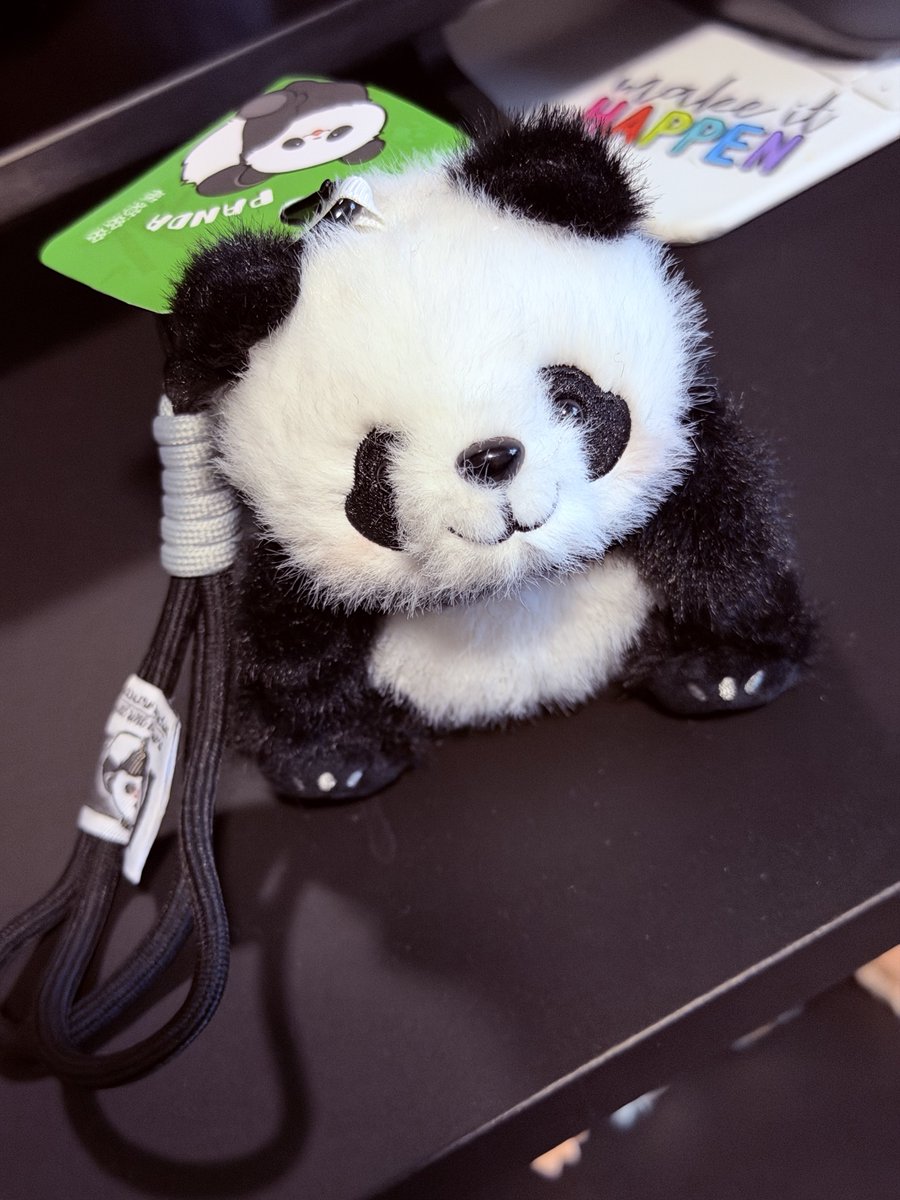 _thaigoncalves's tweet photo. Tive um date hoje com uma chinesa, foi nosso primeiro date, e ela me deu esse panda de presente 🥹🥹🥹🥹 Eu achei a coisa mais fofa do mundo 🤍 https://t.co/AYbcGDyESb