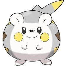 ShellnadoSpin tweet picture
