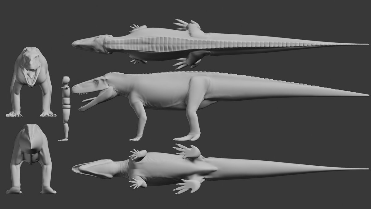 Elemental93's tweet photo. One of, if not THE, largest non-dinosaur predators to walk this Earth, here's Fasolasuchus! A predator to early Sauropods and probably whatever else it could gets its jaws around, it's an interesting look at the long history of this family. Upper estimates of 10 meters is crazy. https://t.co/wE6wUAqFhF