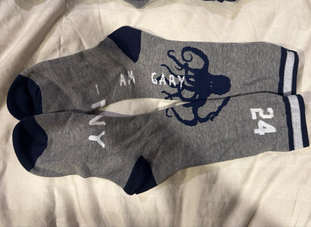 Brick_Pitino's tweet photo. Holy gem alert I just found stuffed in the back of my dresser #IAmGary #ElKraken https://t.co/mr5aOPuXFz