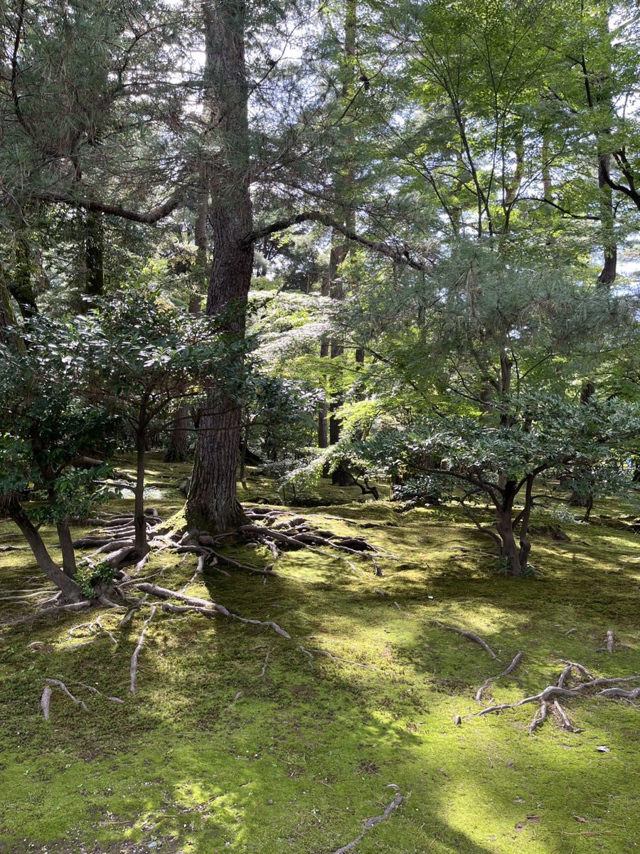 kanazawa_shrine's tweet photo. おはようございます😊
月曜日です♪
9月最終週です♪
楽しく過ごしたいですね✨
いってらっしゃい😊 https://t.co/Uw1sOYqUDl