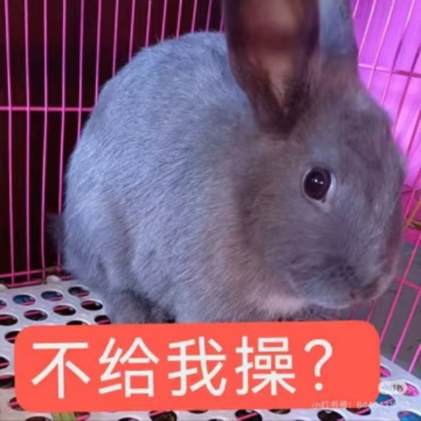Suya43de's tweet photo. 每次打游戏都希望别人玩一些带治疗的英雄。这��就可以光明��大喊妈妈我想喝奶奶 https://t.co/q8veRk9B27