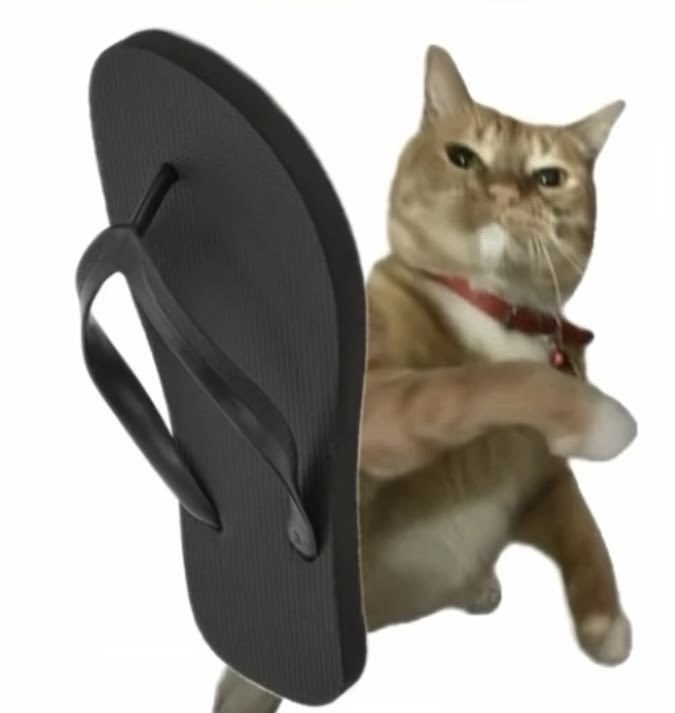 Cigarette_g1rl's tweet photo. @Kineahc *Throws my slipper at you* https://t.co/e9ZXkriLps
